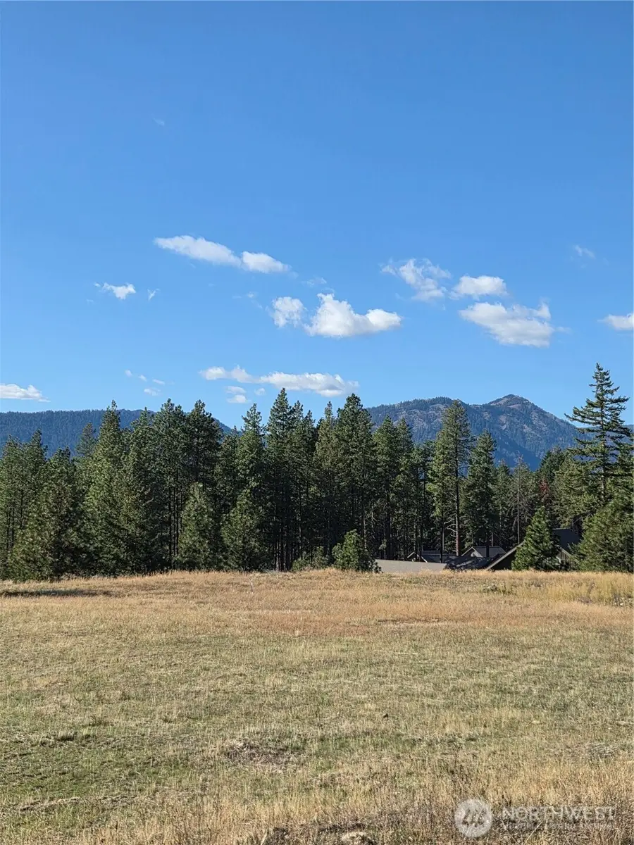 6 Rockrose Drive #6, Ronald, WA 98940 - #2