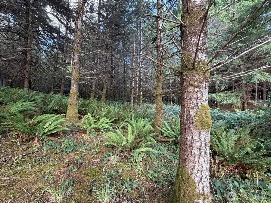 0 Monohon Landing Road, Raymond, WA 98577 - #2