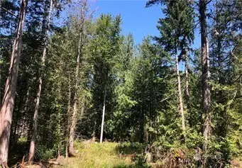 21700 70th Avenue E #14, Spanaway, WA 98387