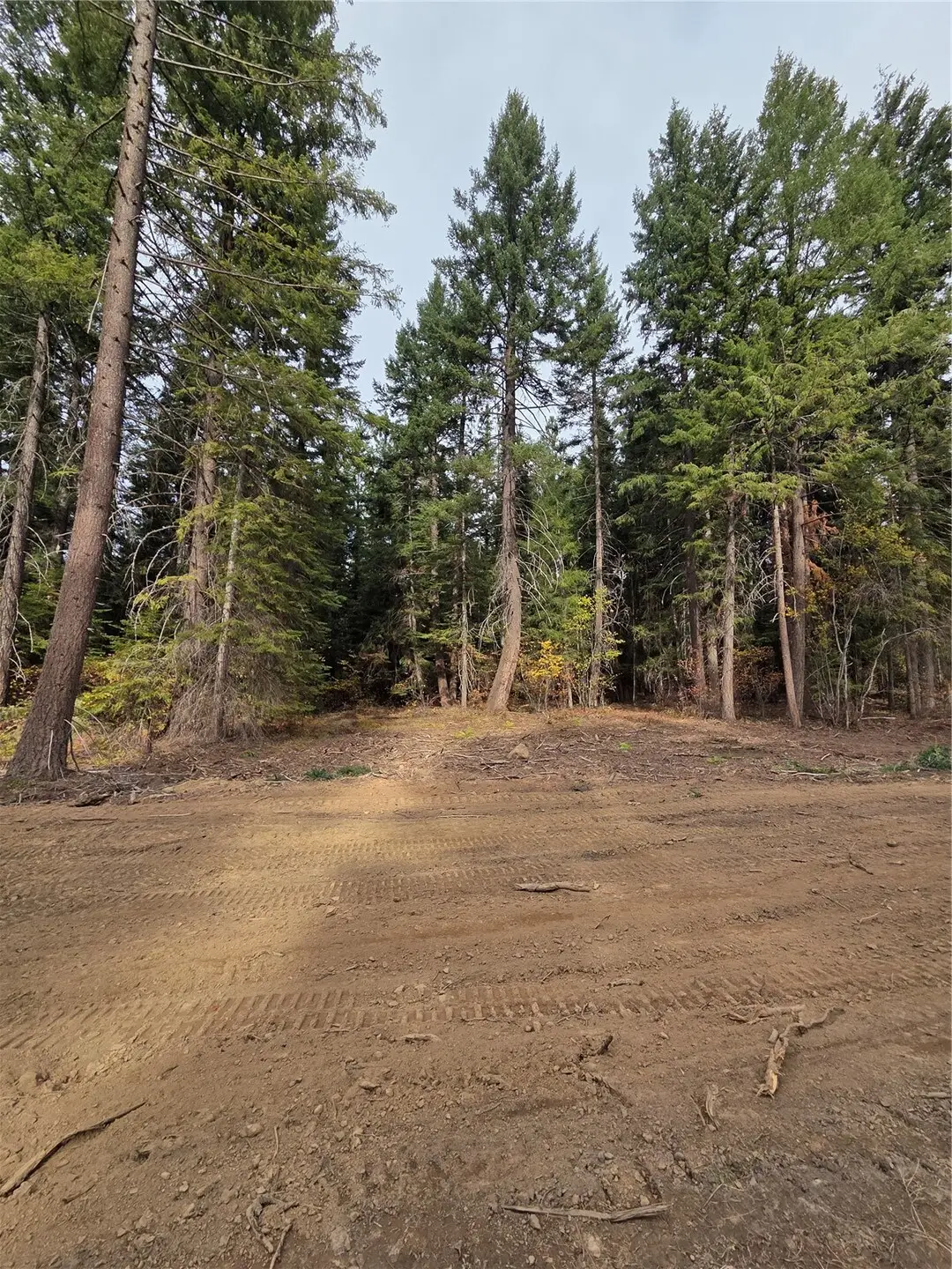 8 Rock Cress Lane #008, Ronald, WA 98940 - #1