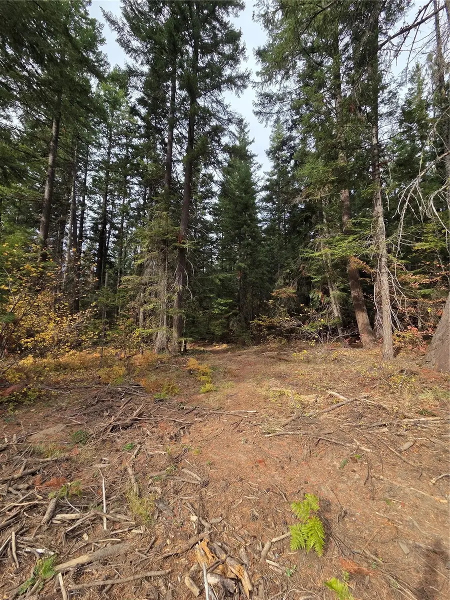 8 Rock Cress Lane #008, Ronald, WA 98940 - #2