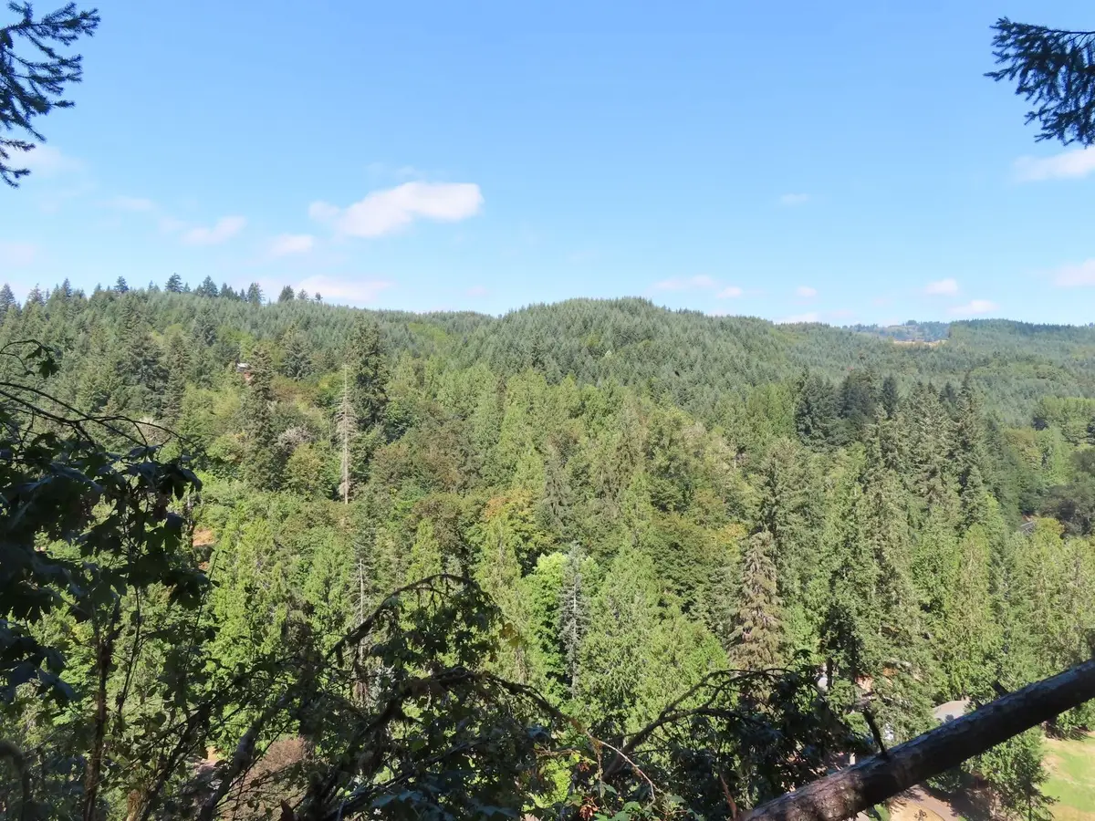 0 Fallert Road, Kalama, WA 98625 - #1