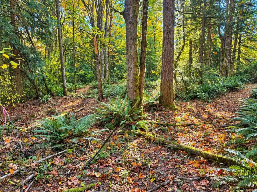 0 Nevada Ave E #11, Port Orchard, WA 98366 - #3