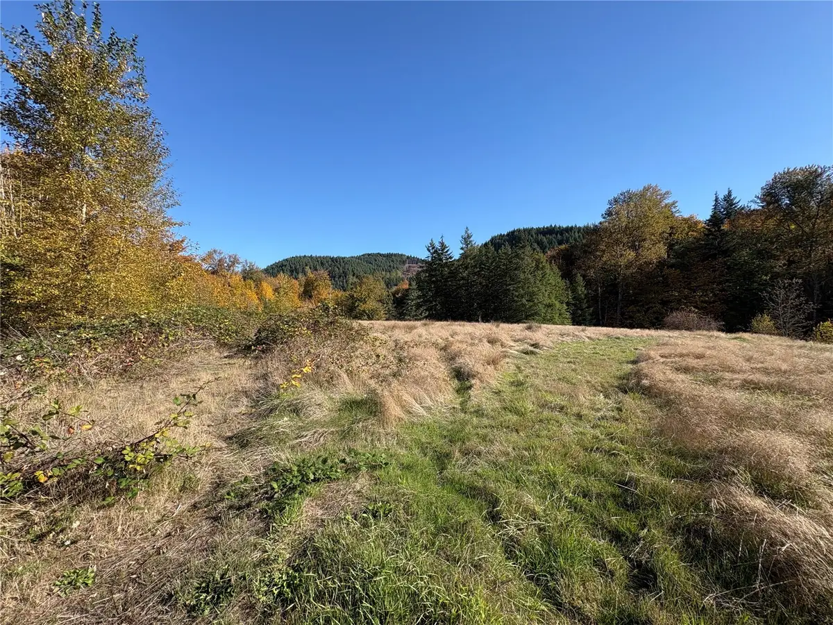 0 Bond Road, Castle Rock, WA 98611 - #1