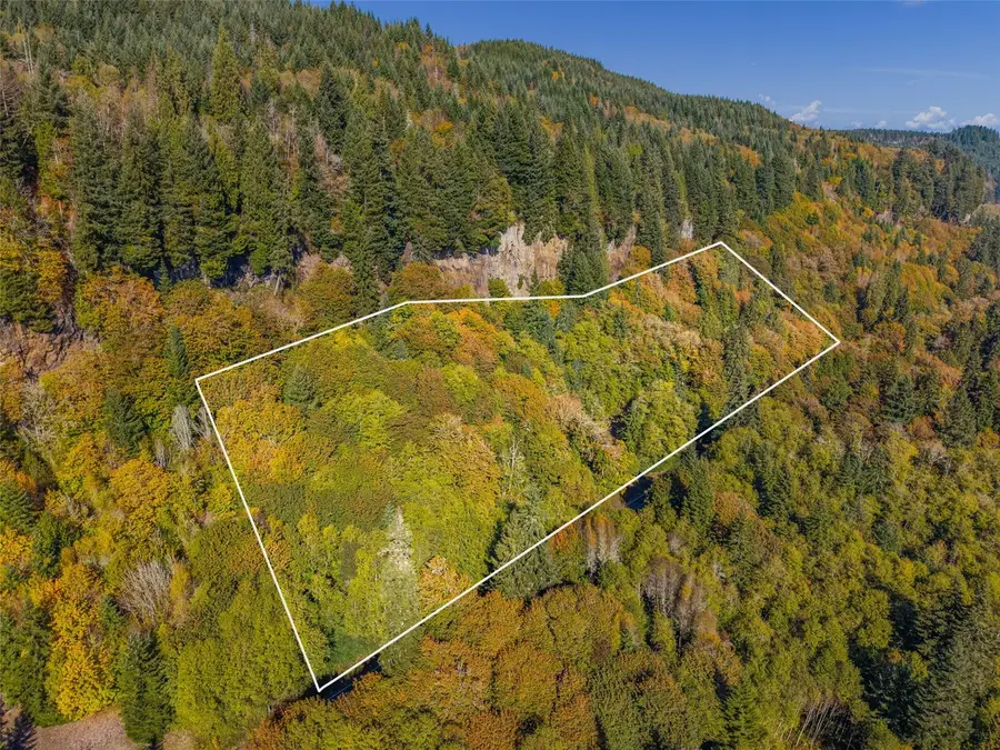 1767 E State Route 4, Cathlamet, WA 98612 - #3