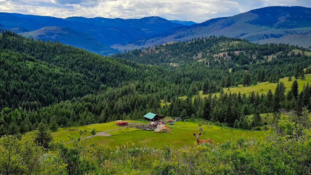 57 Two Sisters Way, Curlew, WA 99118 - #1