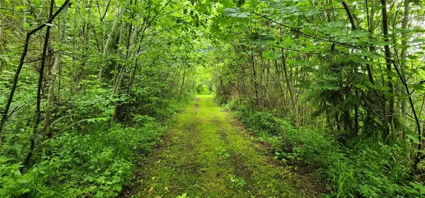738 Grauel- Ramapo Rd, Joyce, WA 98363