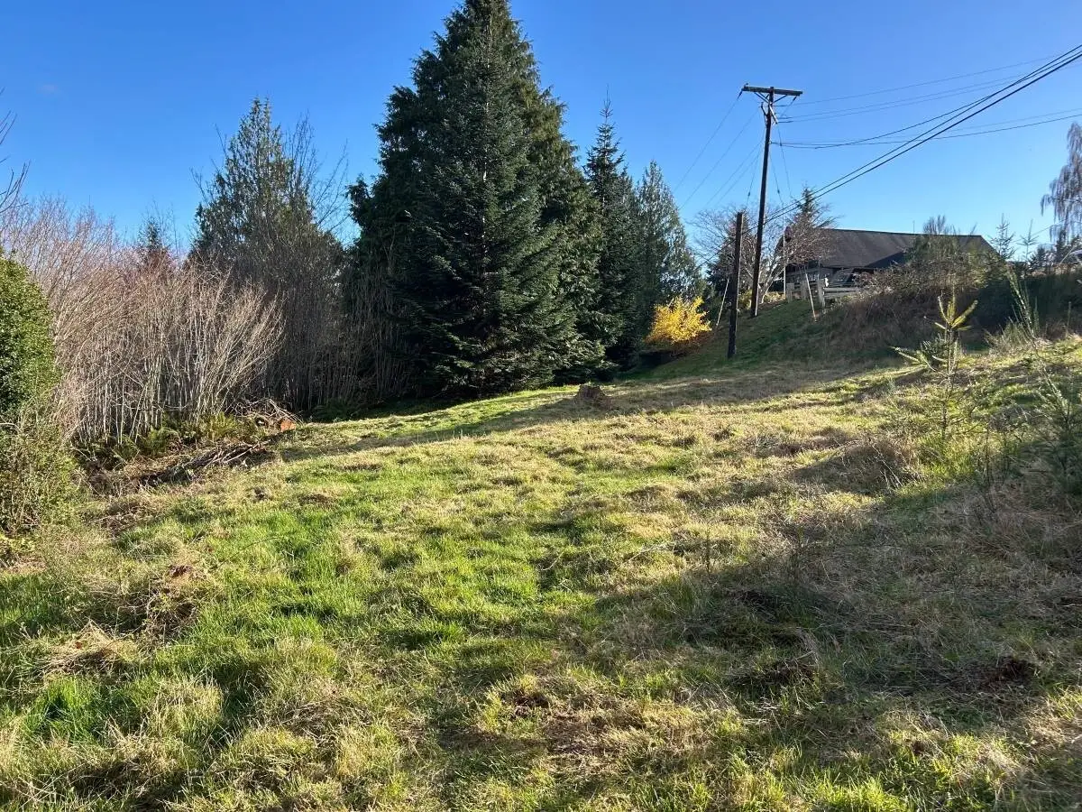 0 8th Avenue #317090424001, Aberdeen, WA 98520 - #1