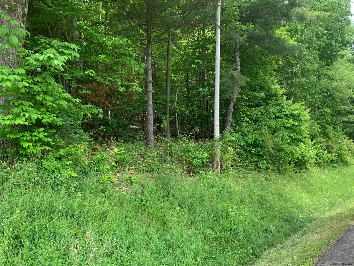 L4 County Rte 5, Canaan, NY 12029 - Image #1