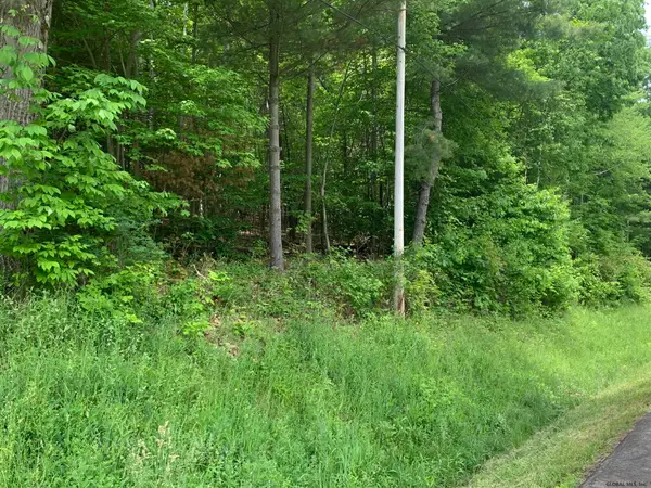 L4 County Rte 5, Canaan, NY 12029