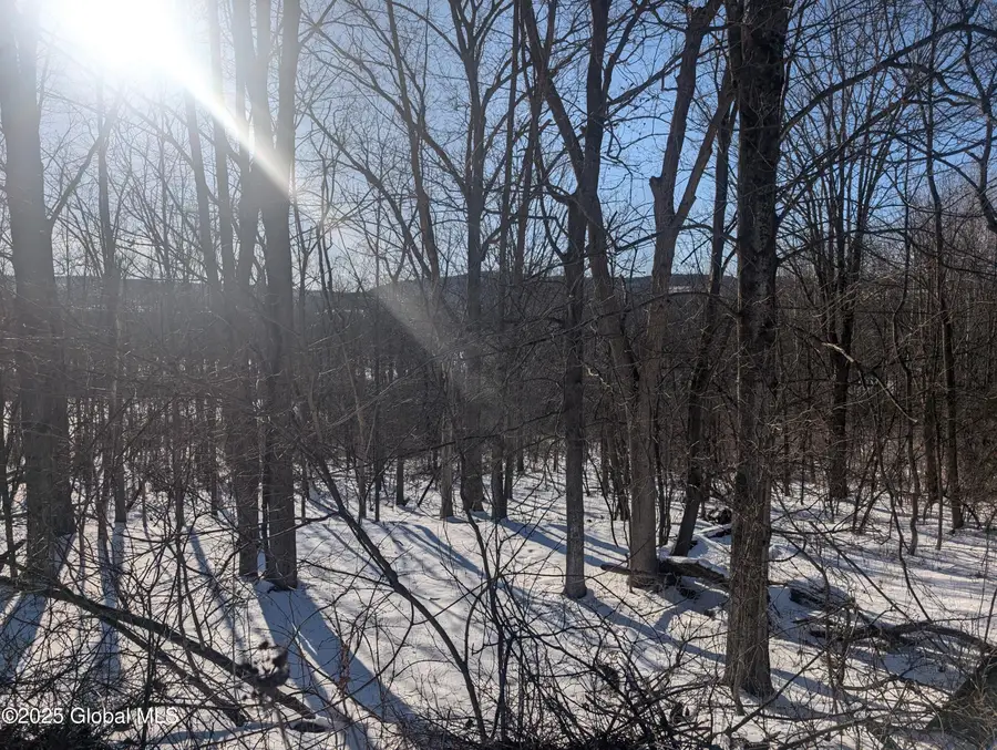 L.9 Mountain View Way, Hoosick, NY 12090 - #2