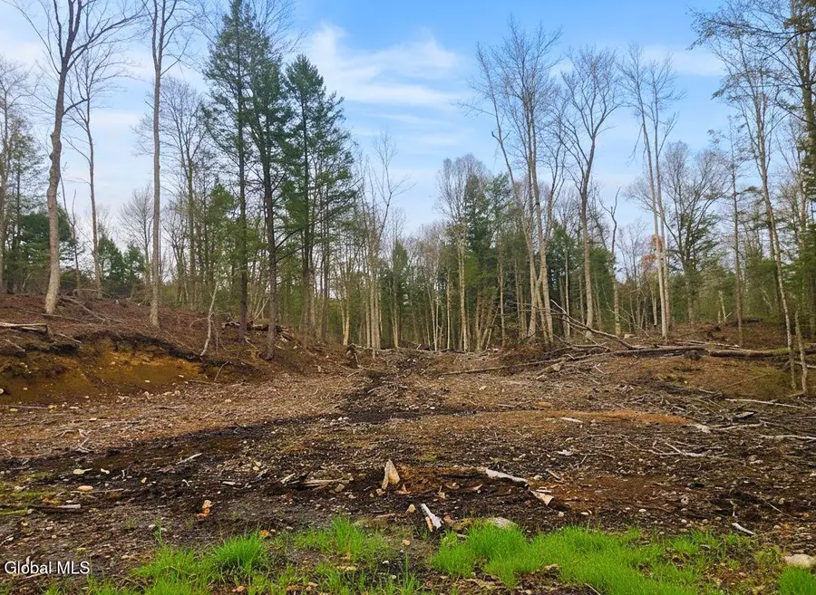 L42 Barlow Road, Gloversville, NY 12078 - Image #3