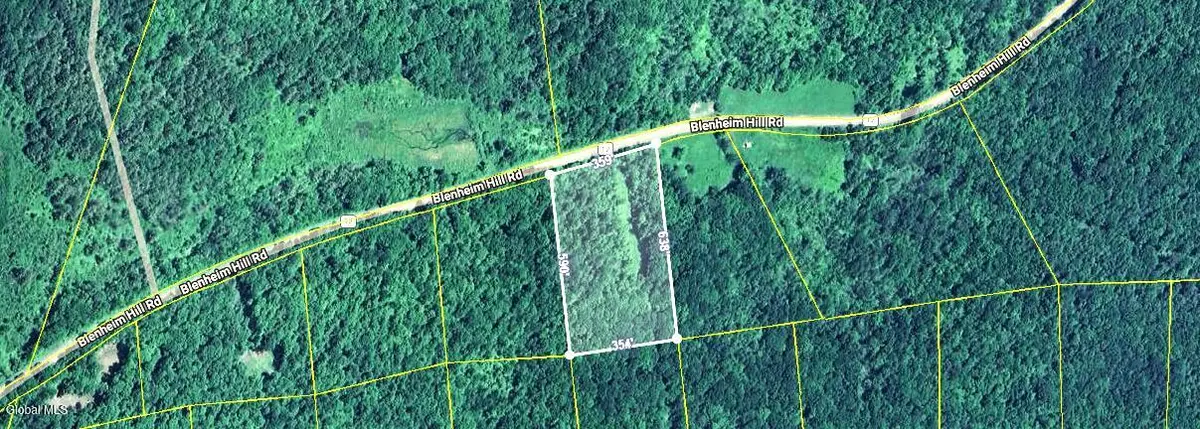 L2.29 Blenheim Hill Road, Blenheim, NY 12131 - #1