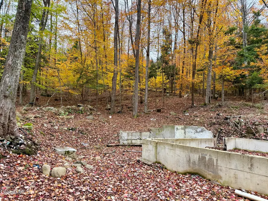 75 Carey Road, Day, NY 12835 - Image #3