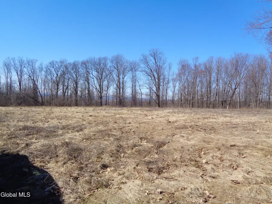 L1.1 Lawson Road, Pattersonville, NY 12137 - Image #2