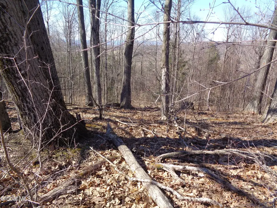 L1.1 Lawson Road, Pattersonville, NY 12137 - Image #3