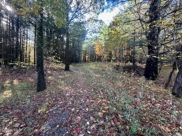 87 Le Loup Road, Pittstown, NY 12121