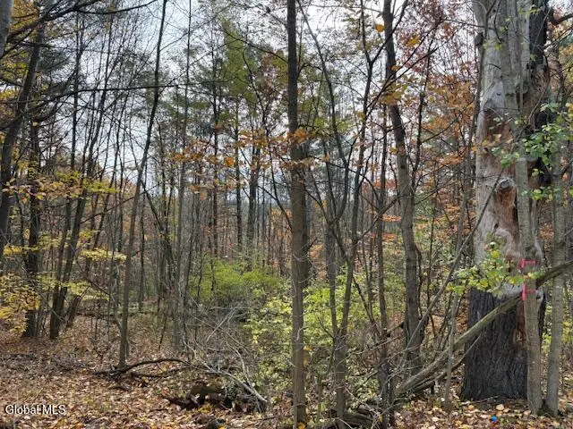 954A Route 9n, Au Sable, NY 12912 - Image #1