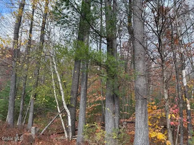 954A Route 9n, Au Sable, NY 12912 - Image #2