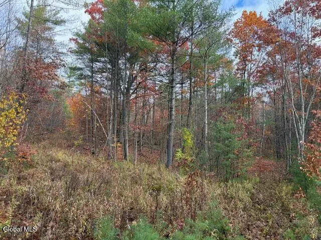 954A Route 9n, Au Sable, NY 12912 - Image #3