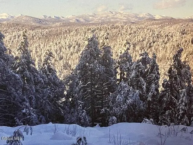 L24.1 Crane Pond Road, Schroon, NY 12870 - Image #1