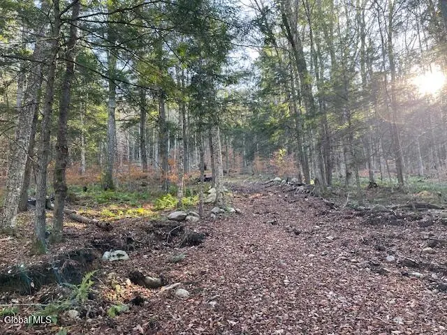 L24.1 Crane Pond Road, Schroon, NY 12870 - Image #3