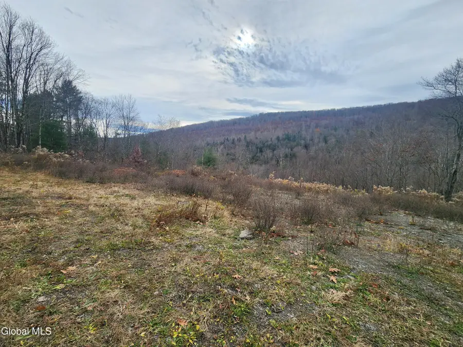 143 Rebel Ridge Road, Jefferson, NY 12093 - Image #2