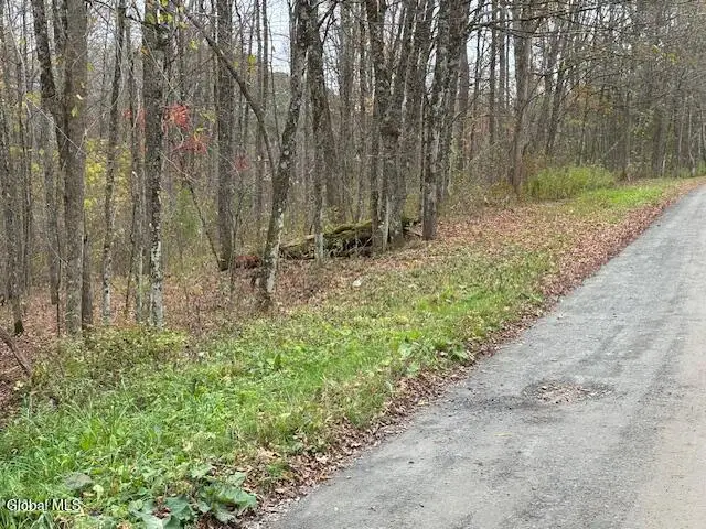L24.1 Darfler Lane, Hebron, NY 12832 - Image #2