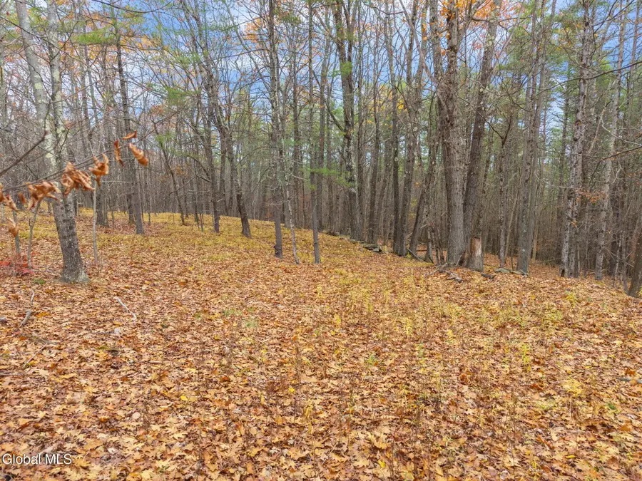 L1.1 Lassen Road, Broome, NY 12122 - Image #3