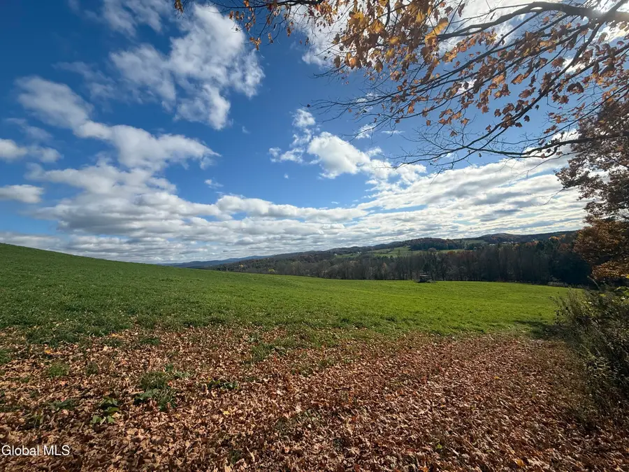 1585 Carlton Road, Whitehall, NY 12887 - Image #3