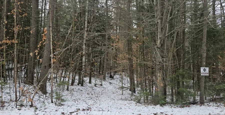 183 Mountain Path, Johnsburg, NY 12853 - Image #2