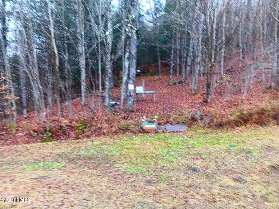 575 Hollenbeck Road, Worcester, NY 12197 - Image #2