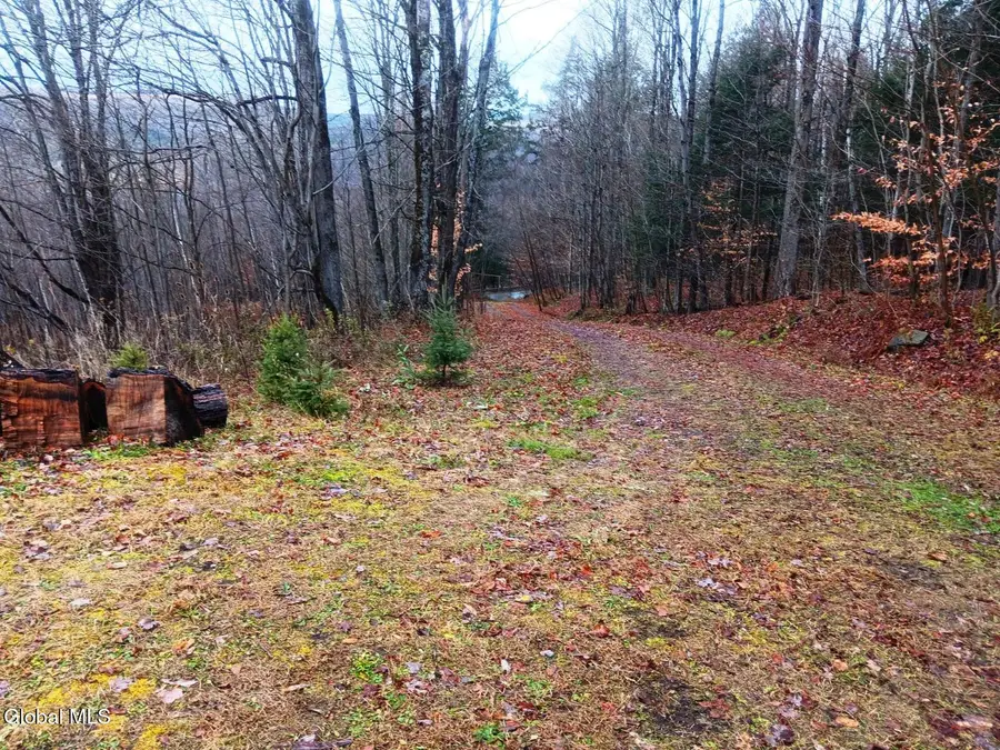 575 Hollenbeck Road, Worcester, NY 12197 - Image #3