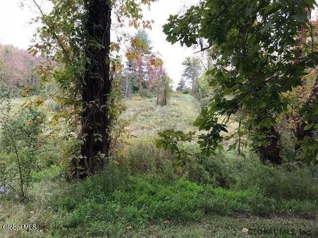 100 Krueger Road, Selkirk, NY 12158 - Image #3