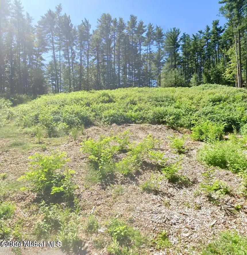 5 Woodview Court, Country Knolls, NY 12019 - Image #1