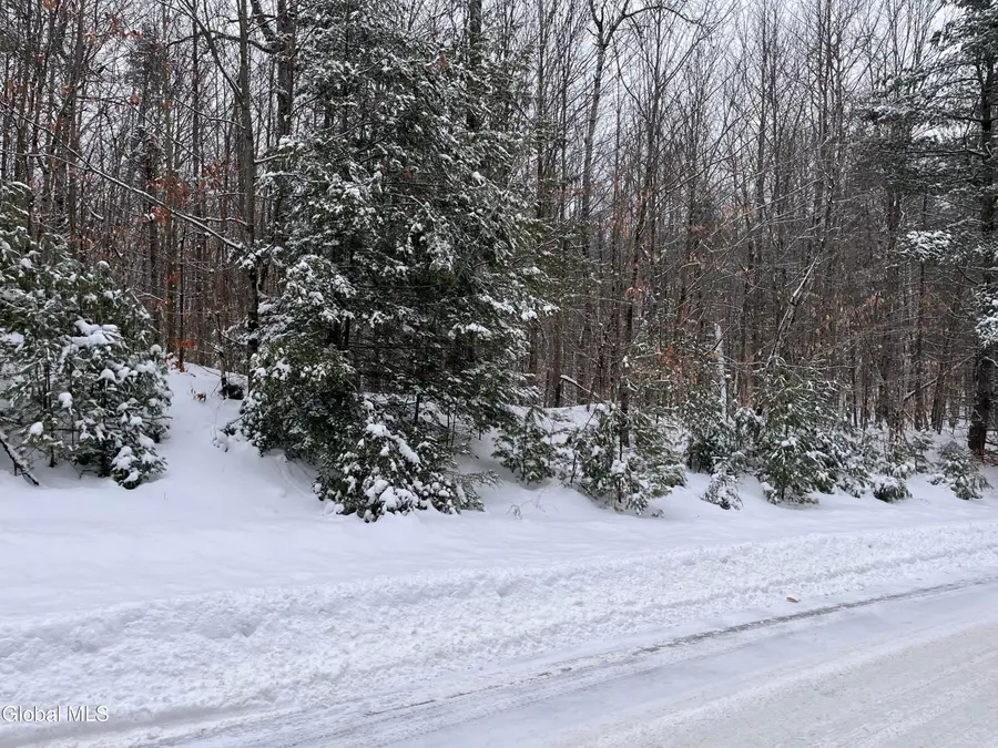 8 Mountain Path, Johnsburg, NY 12853 - Image #3