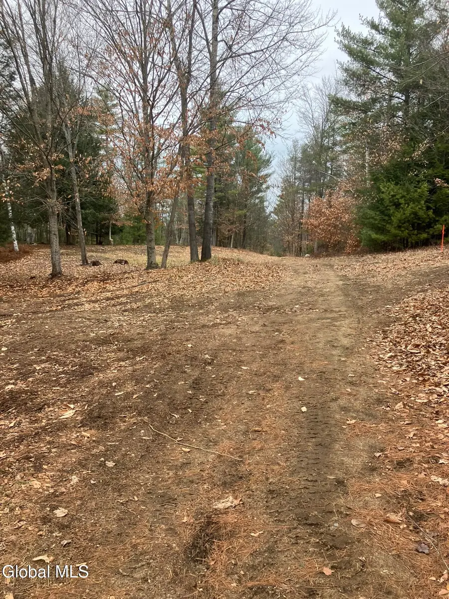 0 Scofield Road, Lake Luzerne, NY 12846 - Image #2