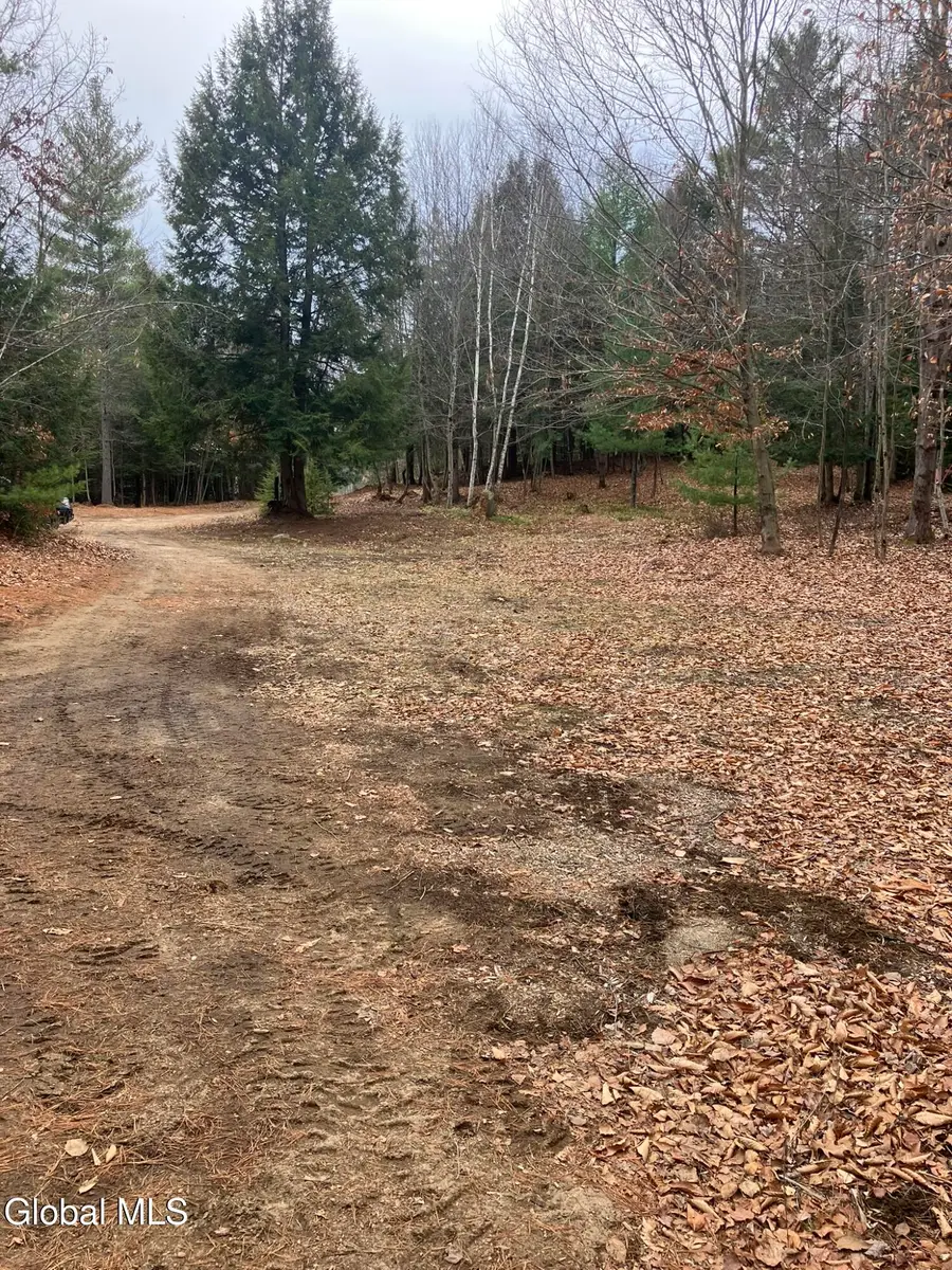 0 Scofield Road, Lake Luzerne, NY 12846 - Image #3