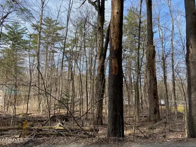 L44 Pillar Way, Fort Ann, NY 12827 - Image #1