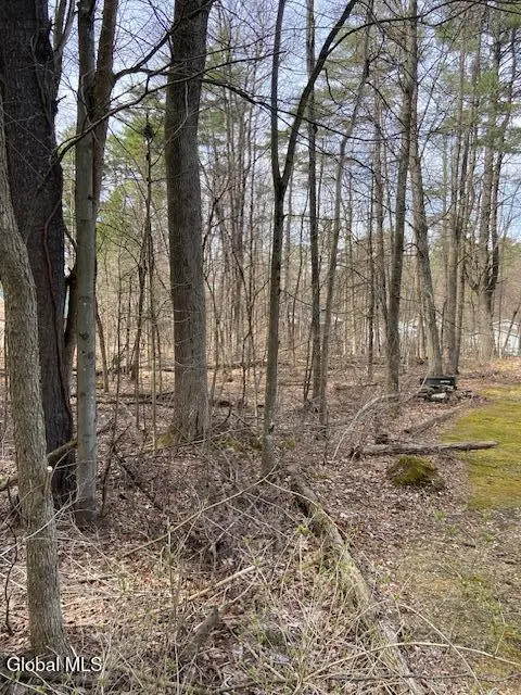 L44 Pillar Way, Fort Ann, NY 12827 - Image #3