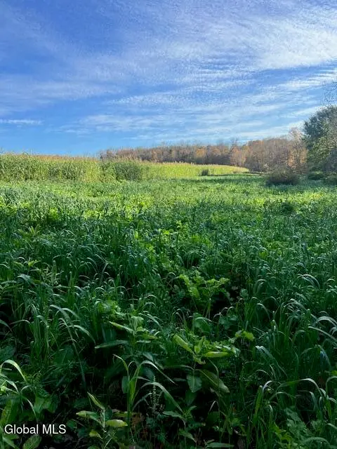 168 George Peasley Road, Pharsalia, NY 13758 - Image #2