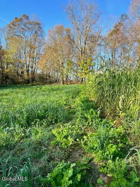 168 George Peasley Road, Pharsalia, NY 13758 - Image #3