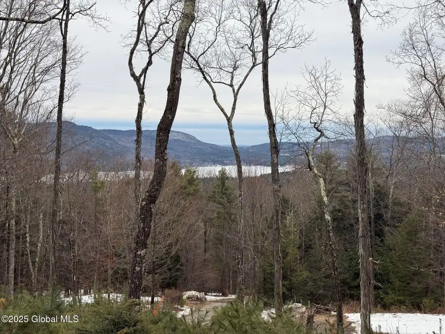 L43.2 Travis Trail, Lake George, NY 12845 - Image #2