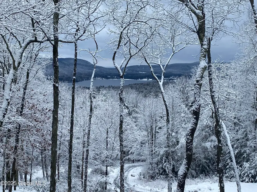 L43.2 Travis Trail, Lake George, NY 12845 - Image #3