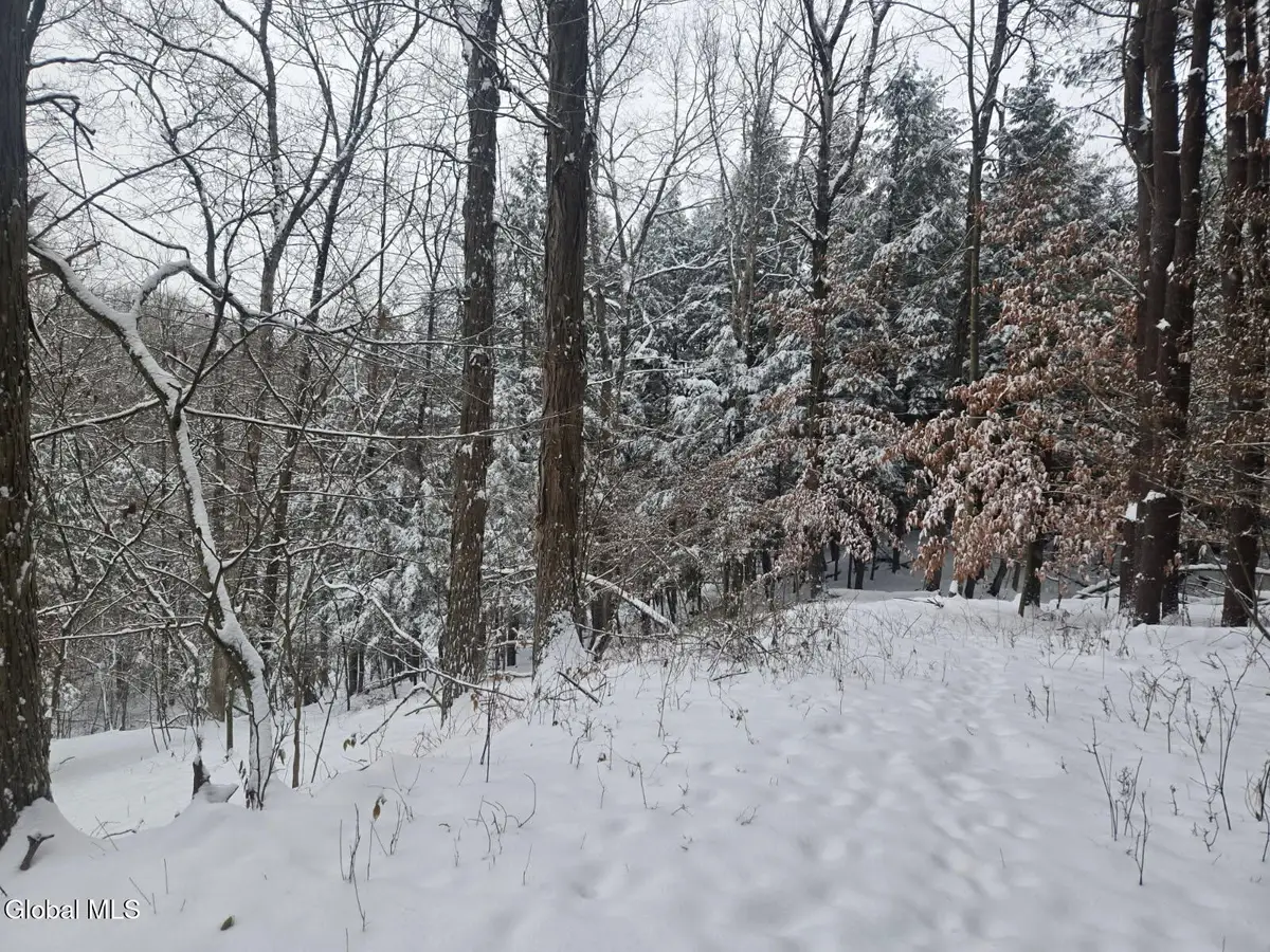 L10 Rouse Road, Minden, NY 13339 - Image #1