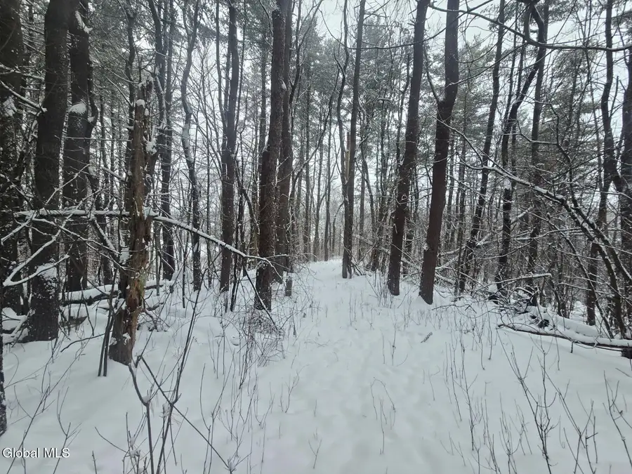 L10 Rouse Road, Minden, NY 13339 - Image #2