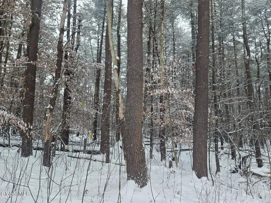 L10 Rouse Road, Minden, NY 13339 - Image #3