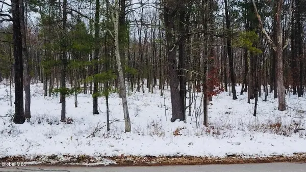 48 Mountain View Drive, Sand Lake, NY 12018