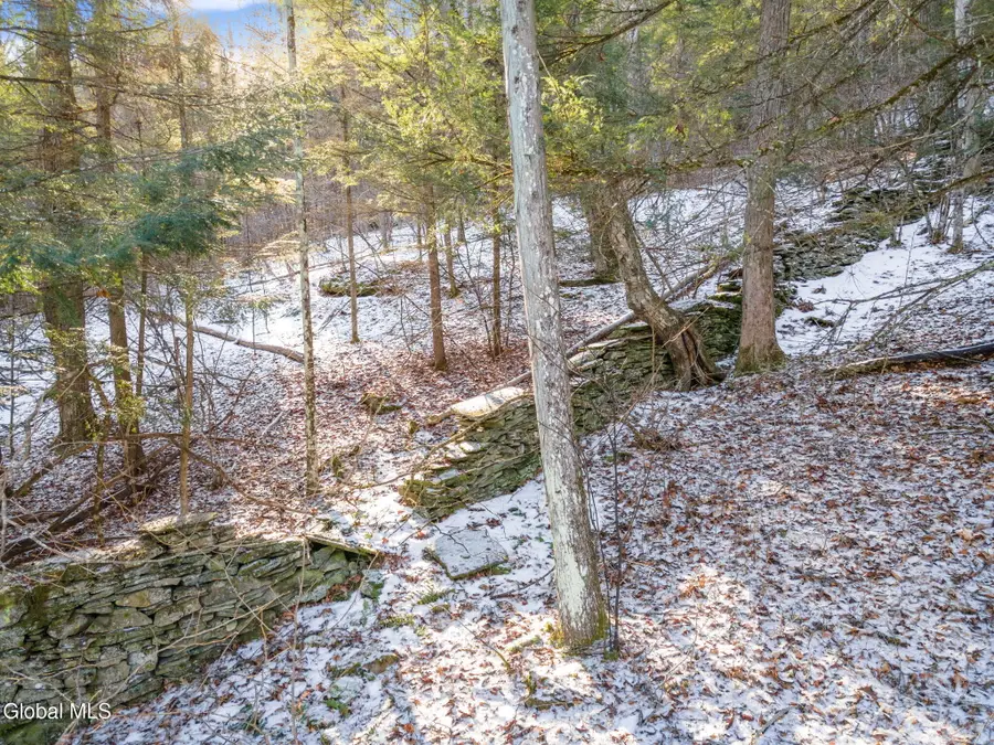 163 Armlin Road, Broome, NY 12122 - Image #3