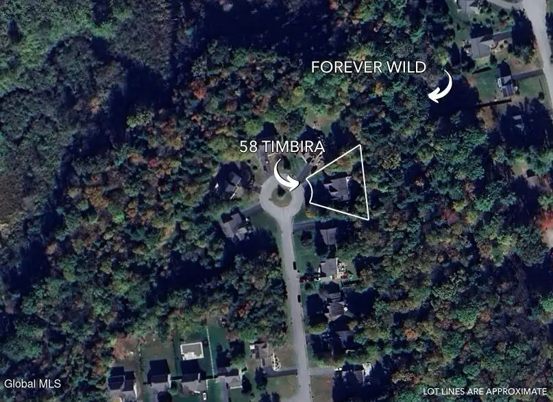 58 Timbira Drive, Wilton, NY 12831 - Image #2